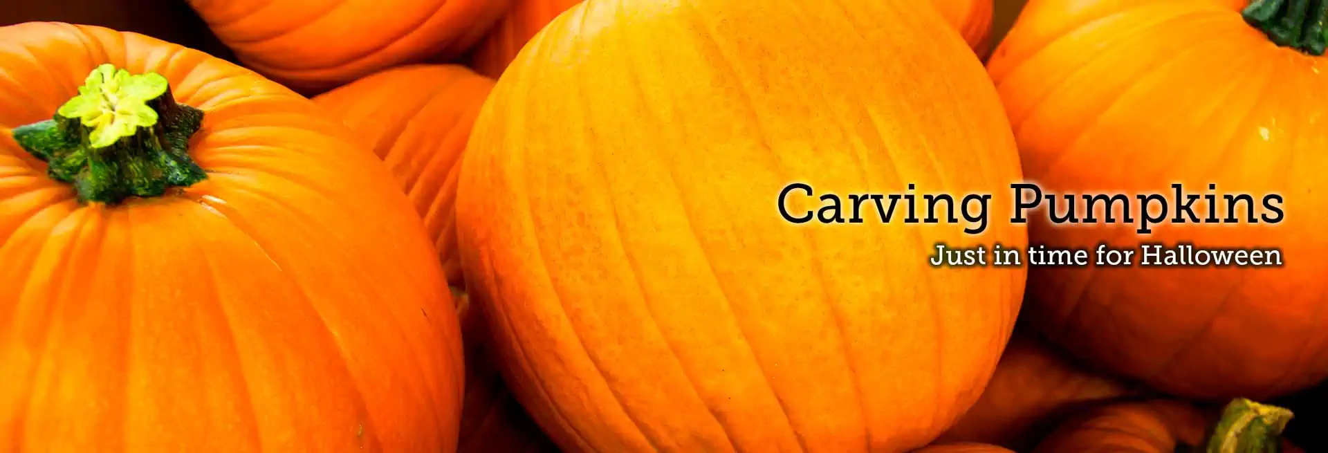 Halloween carving pumpkins