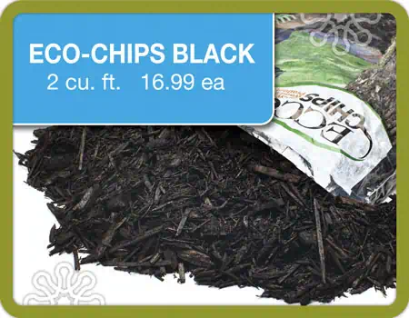 Bagged Black Eco Chips  