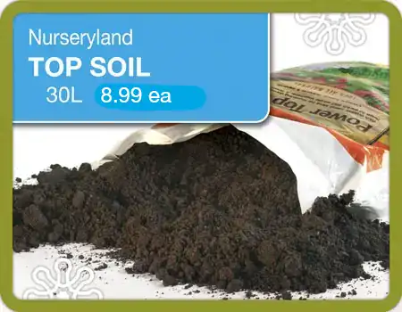 Bagged - Nurseryland Top Soil