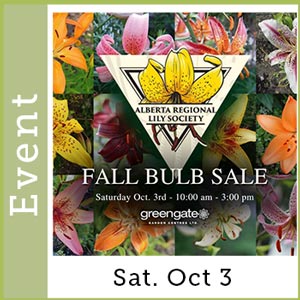 Fall Bulb Sale at greengate