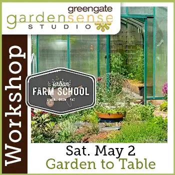 UFS workshop at greengate