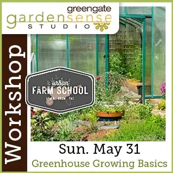 UFS Workshop at greengate