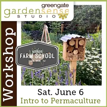 UFS workshop at greengate