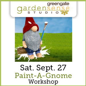 Paint A Gnome workshop 