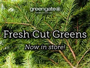 Fresh Cut Greens