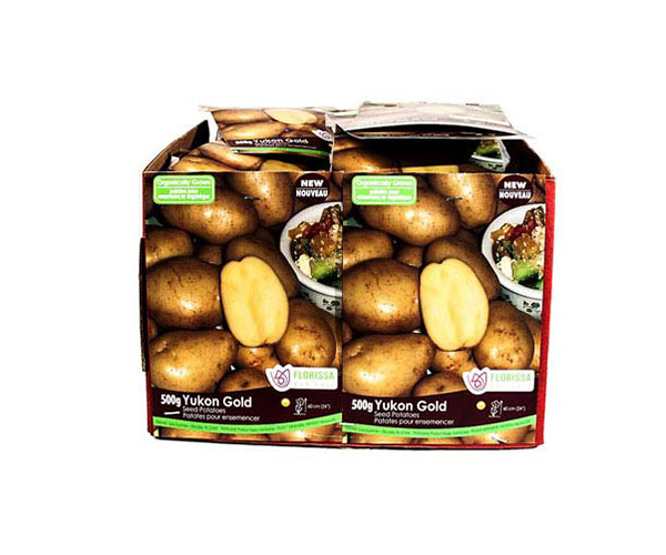 Potato Seed - 