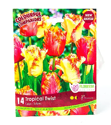 Fall Bulbs - Tulip