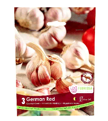 Bulbs - Garlic