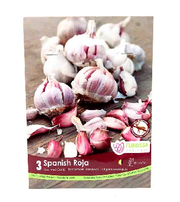 Bulbs - Garlic