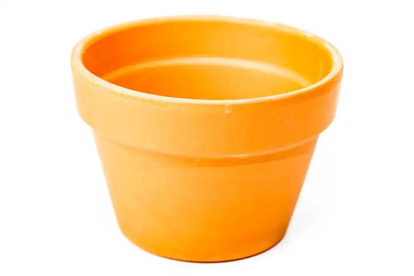 plant pot / container