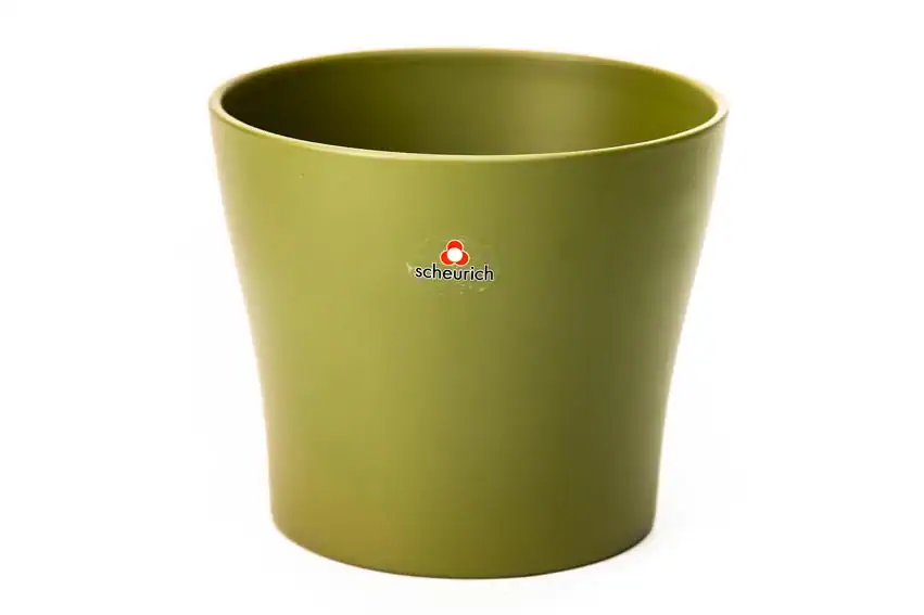 plant pot / container