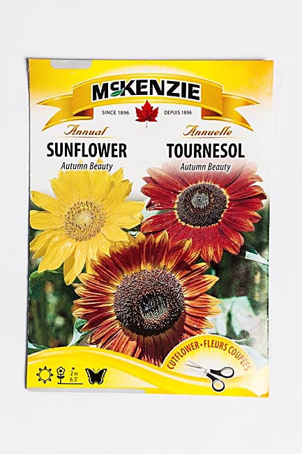 Mckenzie Seeds Annual Sunflower Large Seeded Tall 