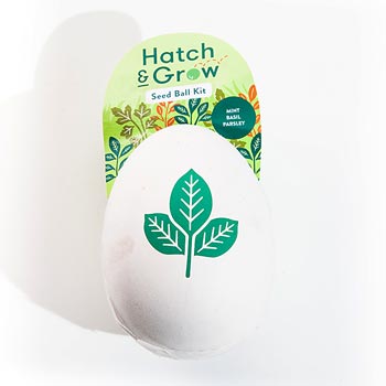 Modern Sprouts - Hatch & Grow Seed Ball Kit 