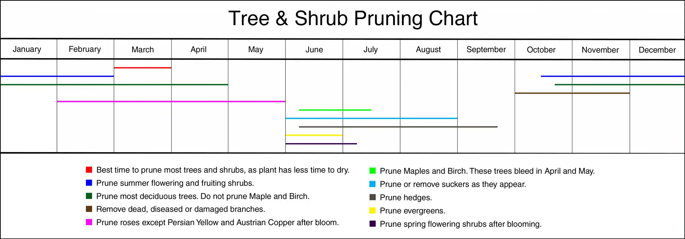 Tree & Shrub Pruning Chart